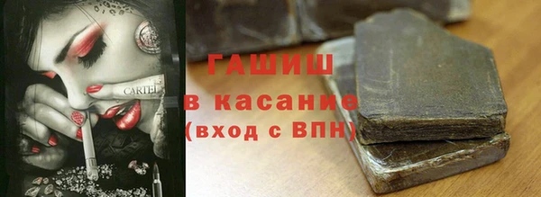 СК Вязьма