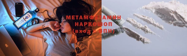 СК Вязьма