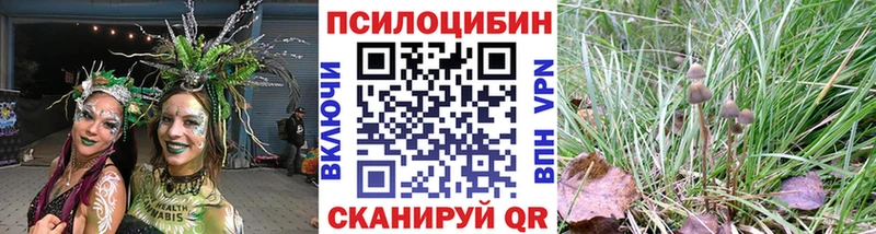 Псилоцибиновые грибы прущие грибы  купить   Зеленокумск 